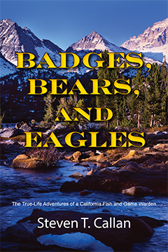 Badges, Bears, and Eagles by Steven T. Callan