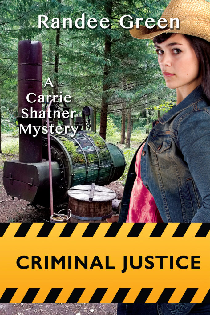Criminal Justice_Front Cover_ebook